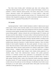 Smulkaus ir vidutinio verslo vaidmuo ekonomikoje 15 puslapis