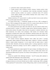 Smulkaus ir vidutinio verslo vaidmuo ekonomikoje 17 puslapis