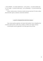 Smulkaus ir vidutinio verslo vaidmuo ekonomikoje 18 puslapis