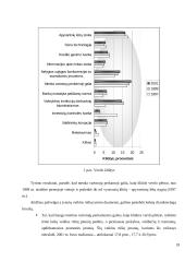 Smulkaus ir vidutinio verslo vaidmuo ekonomikoje 19 puslapis