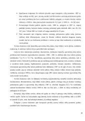 Smulkaus ir vidutinio verslo vaidmuo ekonomikoje 20 puslapis