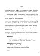 Smulkaus ir vidutinio verslo vaidmuo ekonomikoje 4 puslapis