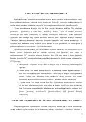 Smulkaus ir vidutinio verslo vaidmuo ekonomikoje 6 puslapis