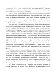 Smulkaus ir vidutinio verslo vaidmuo ekonomikoje 7 puslapis