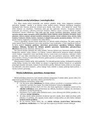 Šaltasis metalų kalinėjimas ir įrankiai, metaloplastika 2 puslapis