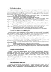 Šaltasis metalų kalinėjimas ir įrankiai, metaloplastika 4 puslapis