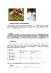 Šaltasis metalų kalinėjimas ir įrankiai, metaloplastika 6 puslapis