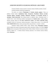 Šeimos ir asmeniniai biudžetai. Šeimos asmeninio biudžeto sudarymas mėnesio laikotarpiui 8 puslapis