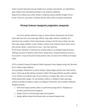 Šviesos banginė teorija 4 puslapis