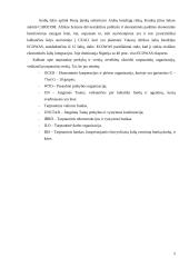 Tarptautinio verslo etika 4 puslapis