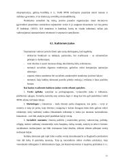 Tarptautinio verslo etika 10 puslapis