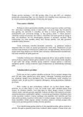 Vabzdžių pasaulis 2 puslapis