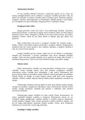 Vabzdžių pasaulis 5 puslapis