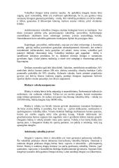 Vabzdžių pasaulis 6 puslapis