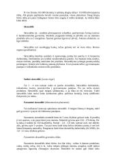 Vabzdžių pasaulis 7 puslapis