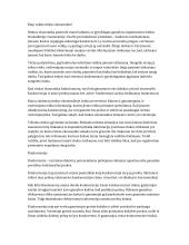 Kaip veikia rinkos ekonomika?