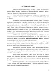 Vadovavimo stiliaus samprata, elementai bei esmė 5 puslapis