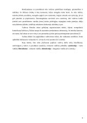 Vadovavimo stiliaus samprata, elementai bei esmė 8 puslapis