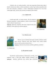 Vandens fiziologinis ir terapinis poveikis 11 puslapis