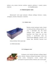 Vandens fiziologinis ir terapinis poveikis 12 puslapis