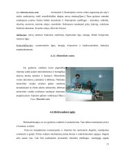 Vandens fiziologinis ir terapinis poveikis 13 puslapis