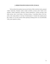 Vandens fiziologinis ir terapinis poveikis 16 puslapis