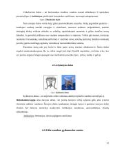 Vandens fiziologinis ir terapinis poveikis 10 puslapis