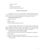 Vilniaus arkivyskupijos Caritas dienos centras "Vilties angelas" 6 puslapis