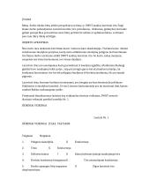 Lazerinio tiro SWOT analizė