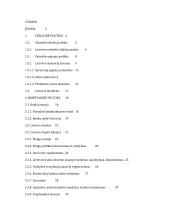 Lietuvos Vyriausybės vykdomų ekonomikos politikų lyginamoji analizė