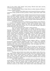 XVII amžiaus literatūra 2 puslapis