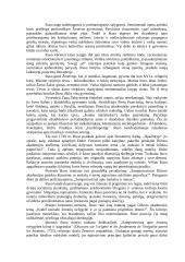 XVII amžiaus literatūra 10 puslapis