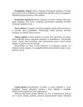 Žieduotosios kirmėlės, arba anelidai. Balnelinės kirmėlės 2 puslapis