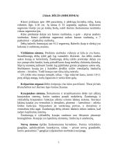 Žieduotosios kirmėlės, arba anelidai. Balnelinės kirmėlės 4 puslapis