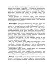 Žieduotosios kirmėlės, arba anelidai. Balnelinės kirmėlės 6 puslapis