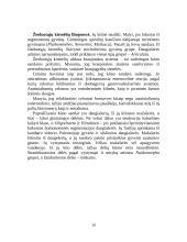 Žieduotosios kirmėlės, arba anelidai. Balnelinės kirmėlės 9 puslapis