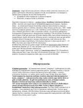 Informacinės technologijos - teorija 2 puslapis