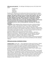 Informacinės technologijos - teorija 3 puslapis