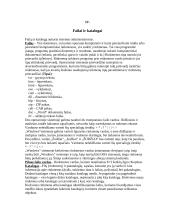 Informacinės technologijos - teorija 8 puslapis