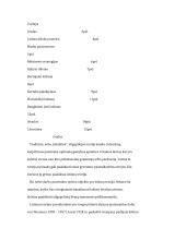 Lošimo teorija ekonomika