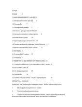 Marijampolės miesto strateginis planas