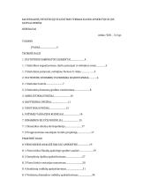 Materialinių investicijų tyrimas