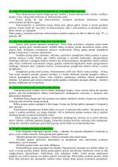 Statybos technologijos ir mechanizmai 12 puslapis