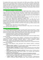 Statybos technologijos ir mechanizmai 13 puslapis