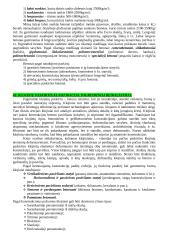 Statybos technologijos ir mechanizmai 15 puslapis