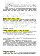 Statybos technologijos ir mechanizmai 17 puslapis