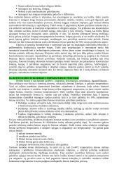 Statybos technologijos ir mechanizmai 20 puslapis