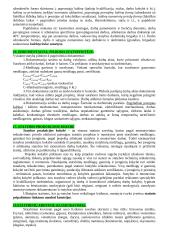 Statybos technologijos ir mechanizmai 7 puslapis