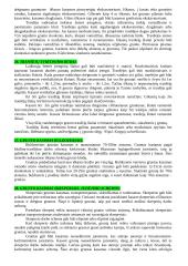 Statybos technologijos ir mechanizmai 10 puslapis