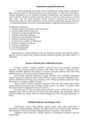 Visuotinės kokybės vadyba: V. Šilinsko IĮ "Nojus" 13 puslapis